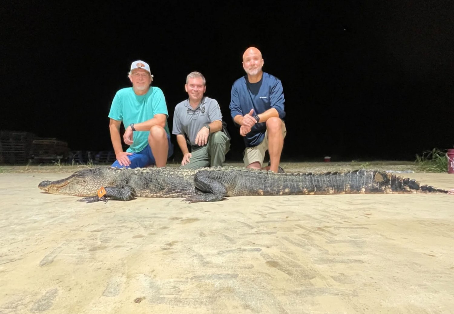 Jim Denson, MDWFP Alligator Program Coordinator Ricky Flynt and Richie Denson kneel beside “Yellow 410,” the largest alligator caught in the state of Mississippi.